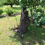 Mit Ddr-charme - Im Herzen Von Ruegen Samtens