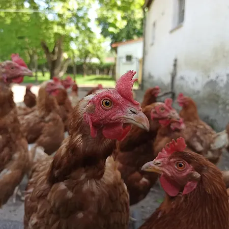 Apartman Mit Ddr-charme - Im Herzen Von Ruegen