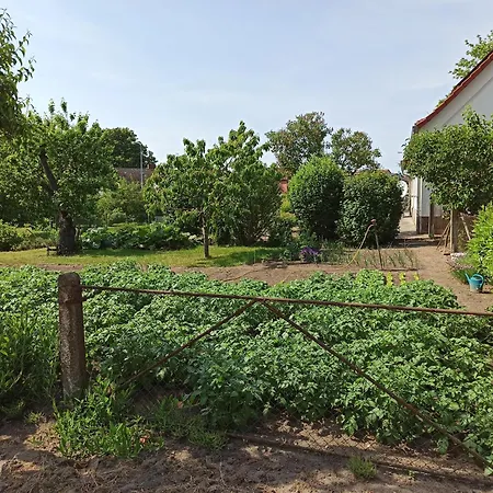 Mit Ddr-charme - Im Herzen Von Ruegen 아파트