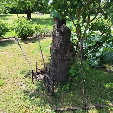 Mit Ddr-charme - Im Herzen Von Ruegen Samtens